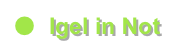 ●	Igel in Not