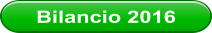 Bilancio 2016