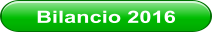 Bilancio 2016