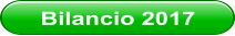 Bilancio 2017