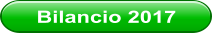 Bilancio 2017